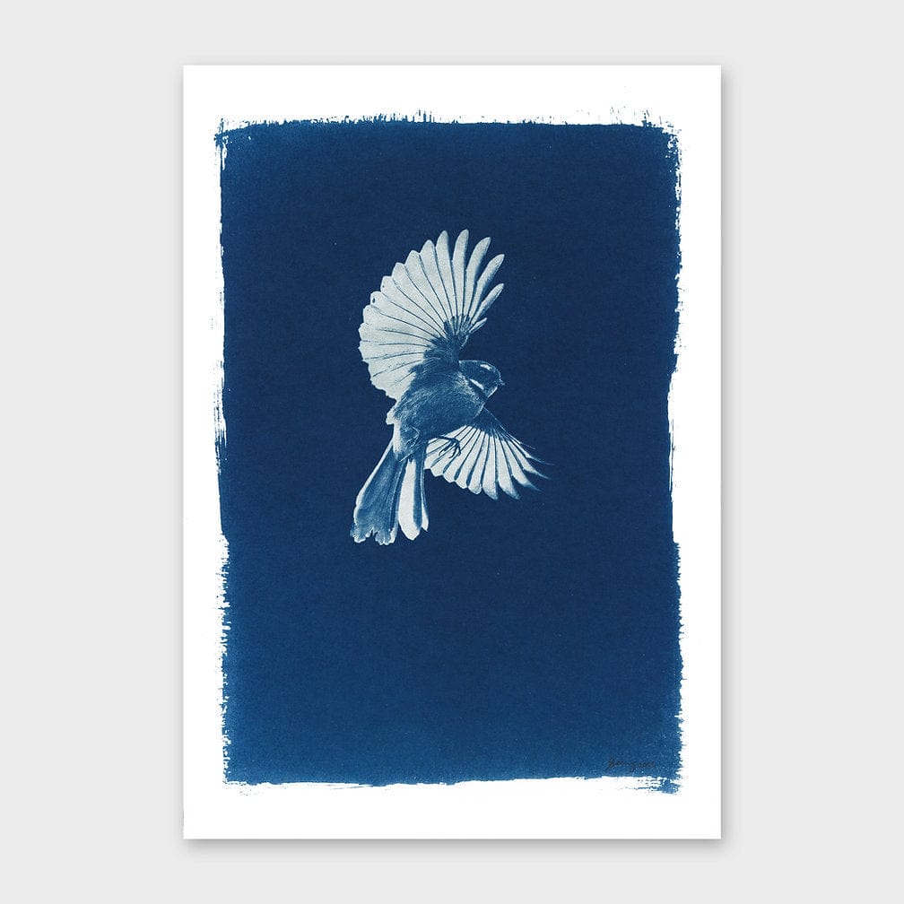 Piwakawaka Cyanotype by Sophia Jenny