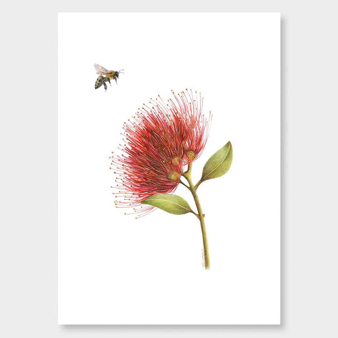 Pohutukawa and Bee Art Print by Olivia Bezett