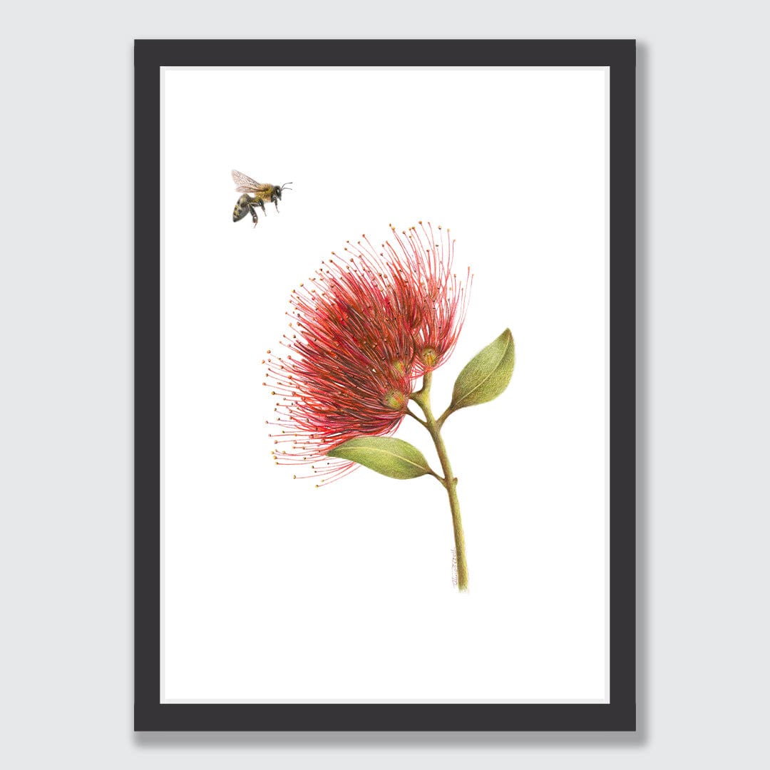 Pohutukawa and Bee Art Print by Olivia Bezett