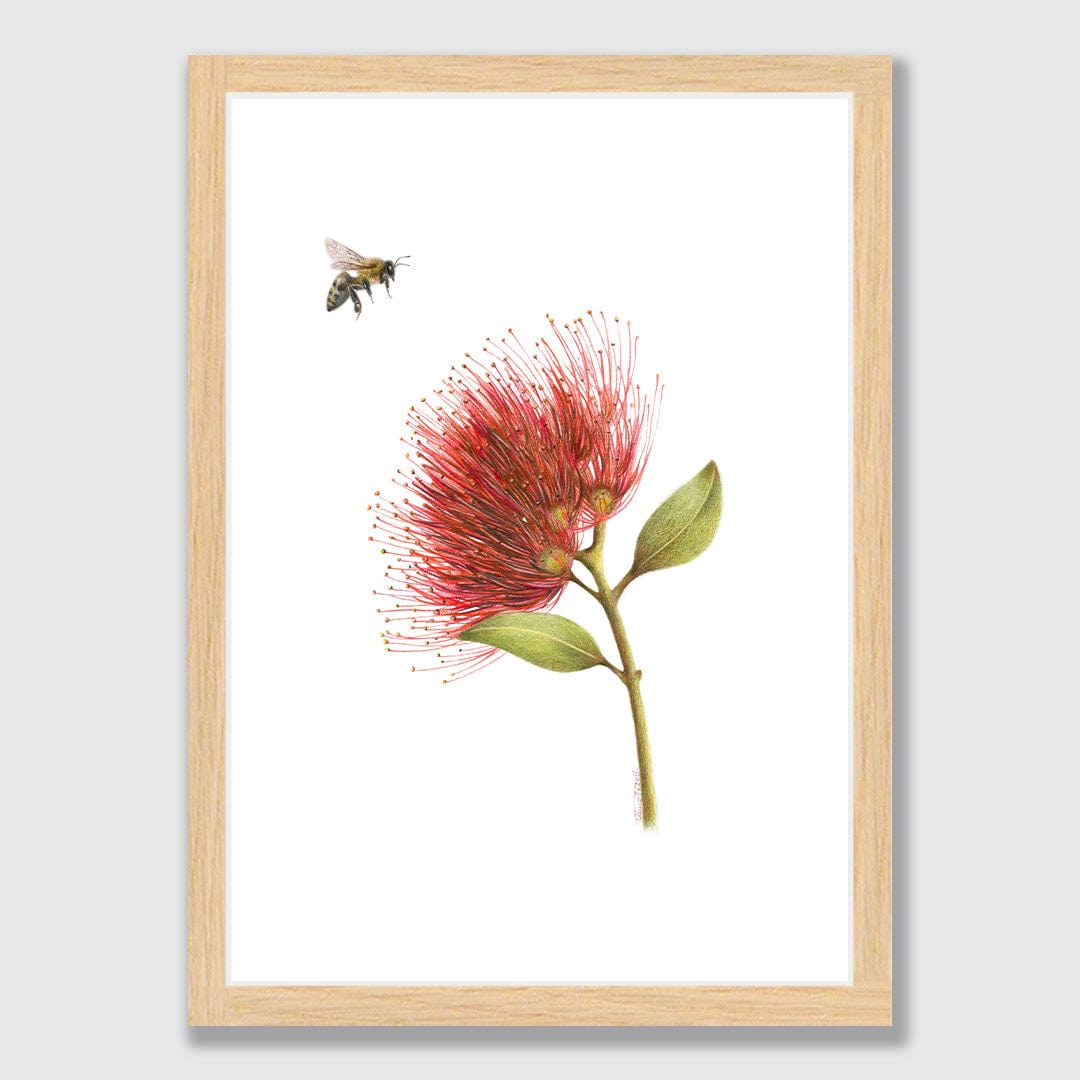 Pohutukawa and Bee Art Print by Olivia Bezett