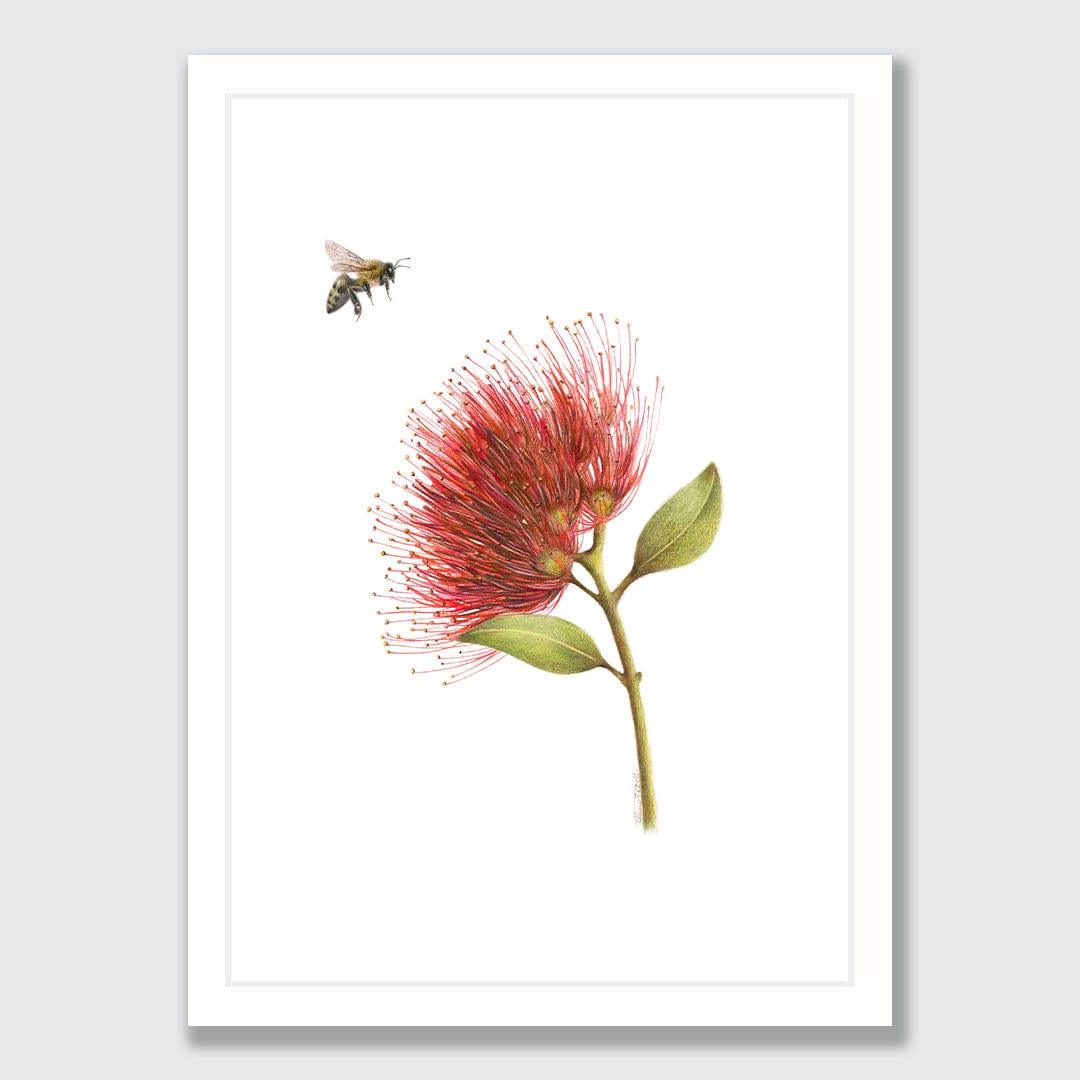 Pohutukawa and Bee Art Print by Olivia Bezett