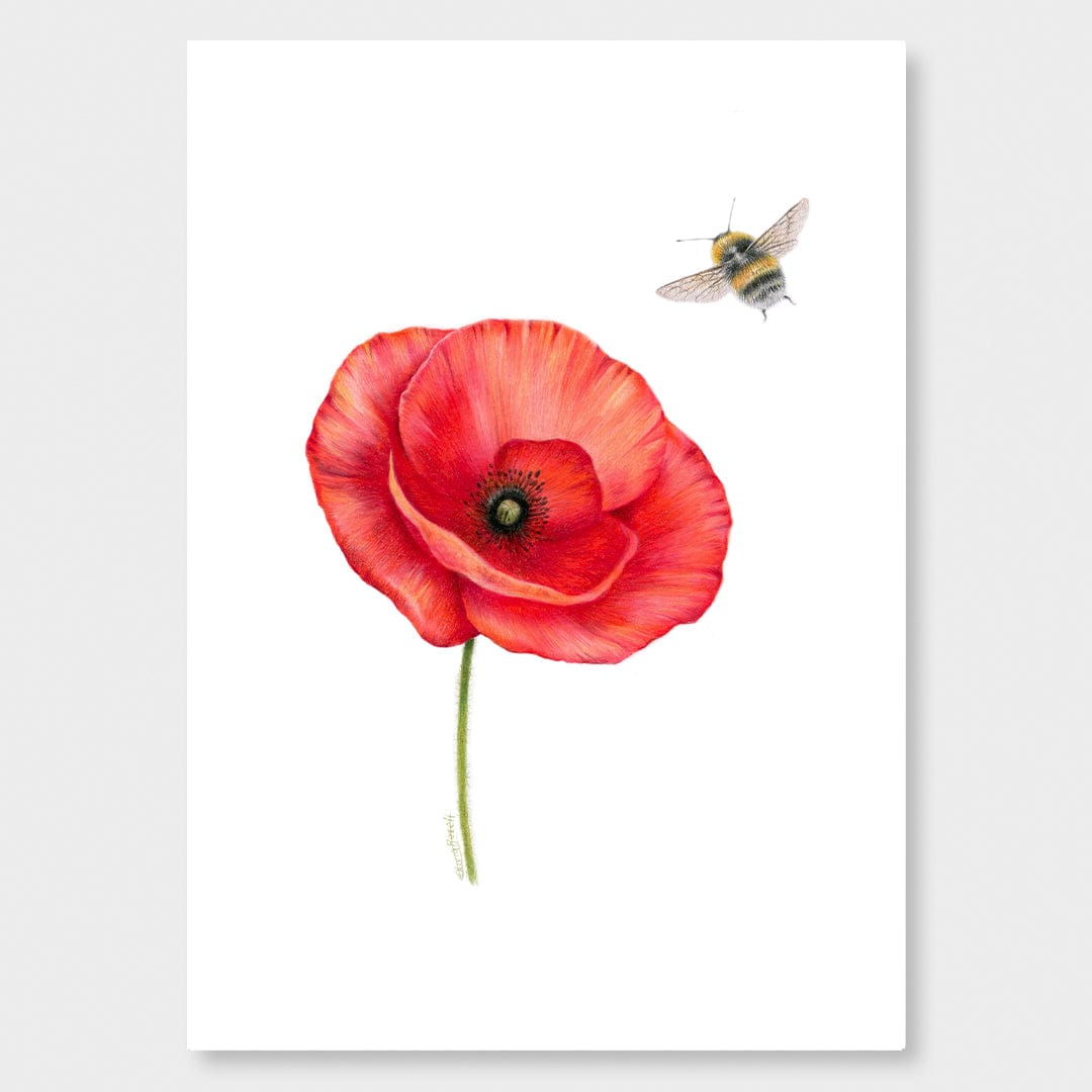 Poppy and Bee Art Print by Olivia Bezett