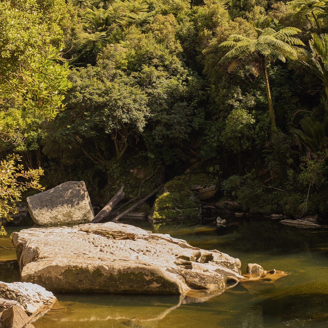 Pororari River Amidst Photographic Art Print by Charlotte Clements
