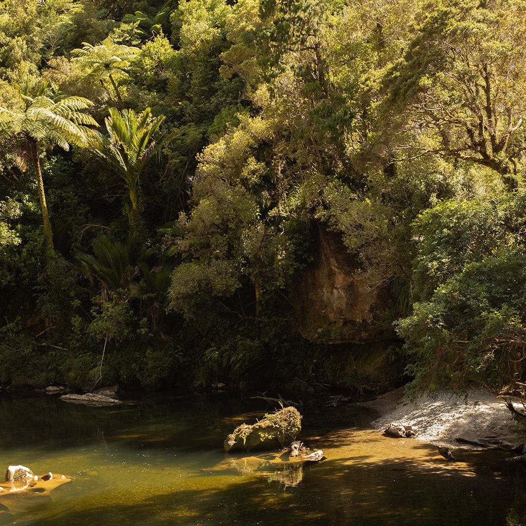Pororari River Anchor Photographic Art Print by Charlotte Clements