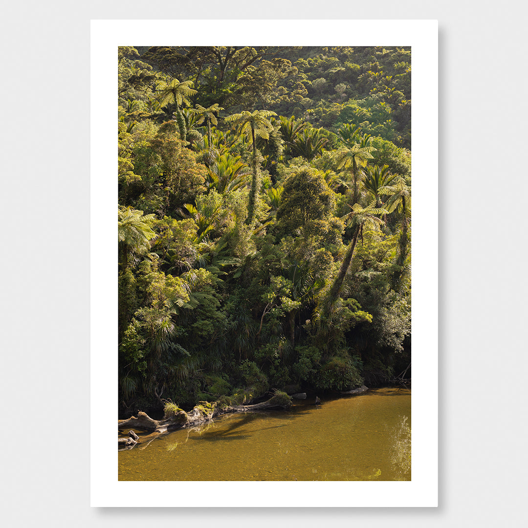 Pororari River Flow Photographic Art Print by Charlotte Clements