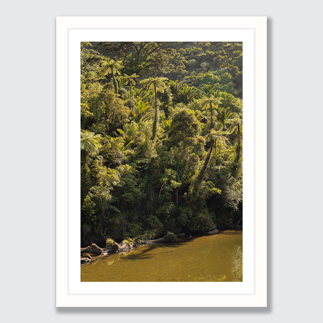 Pororari River Flow Photographic Art Print by Charlotte Clements