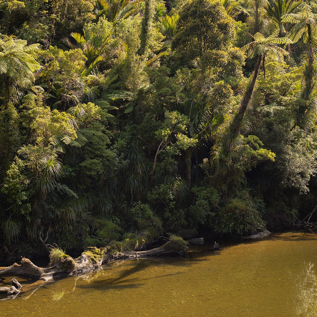 Pororari River Flow Photographic Art Print by Charlotte Clements