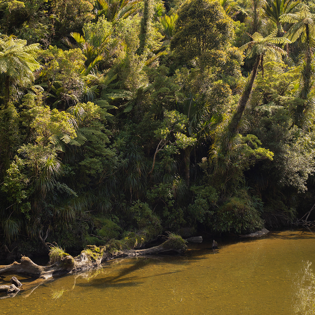 Pororari River Flow Photographic Art Print by Charlotte Clements