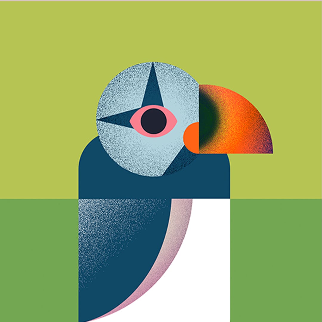 Puffin Yellow Art Print by Beth Xia