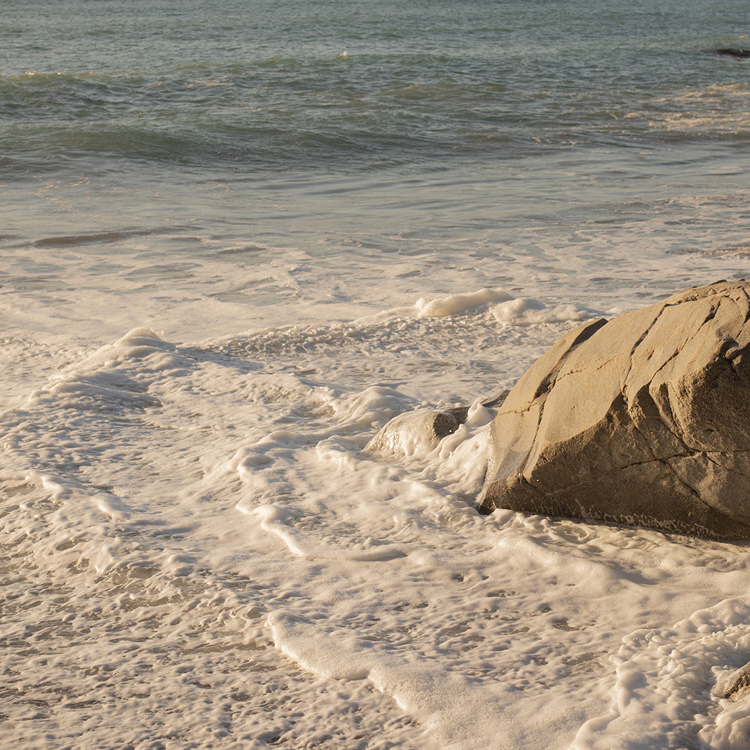 Punakaiki Wanderlust Photographic Art Print by Charlotte Clements