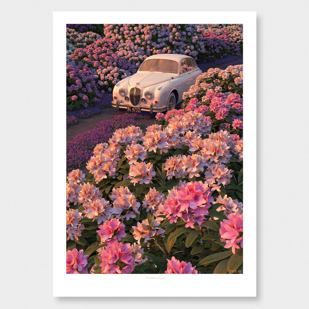 Rhododendron Drive Art Print by Simon Stockley