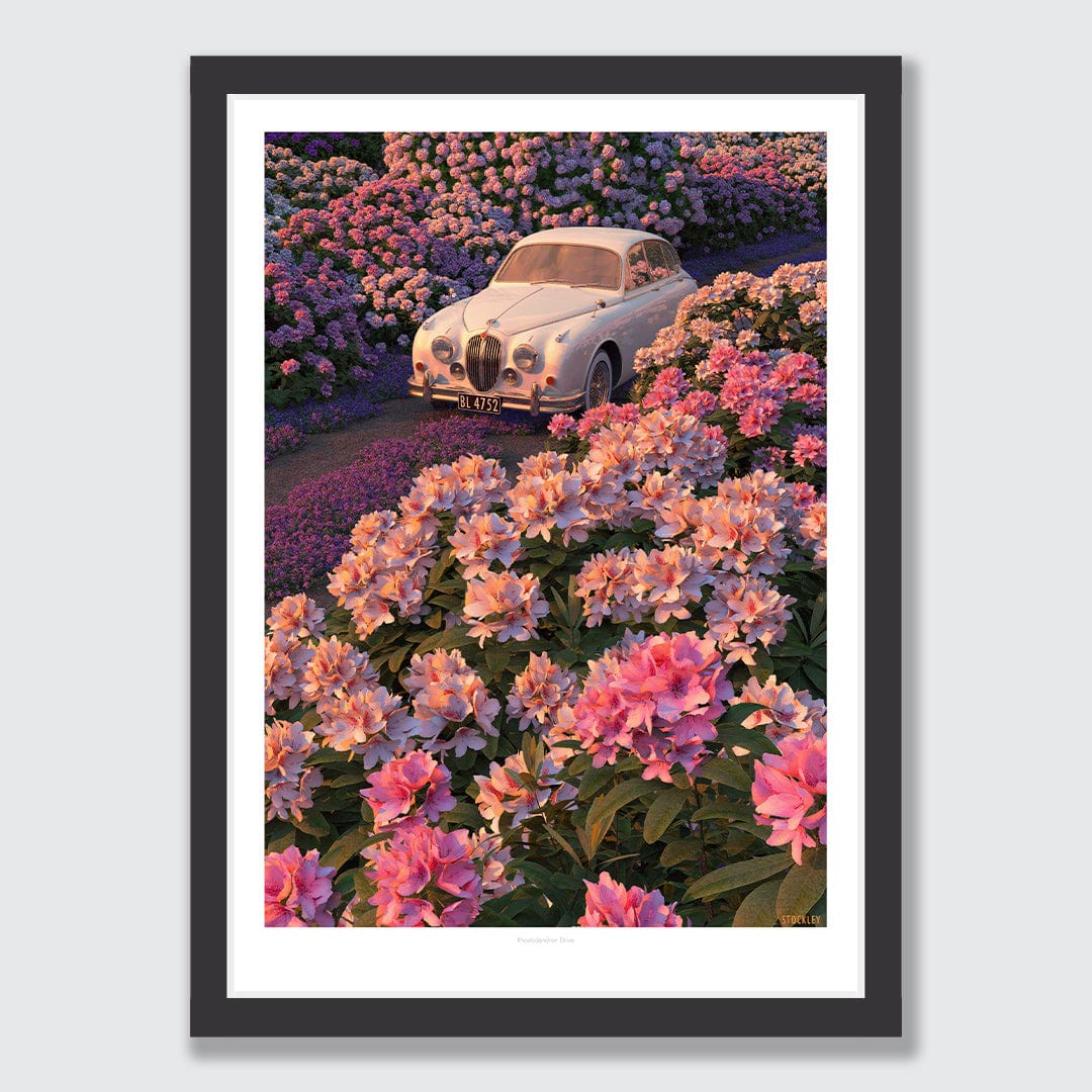 Rhododendron Drive Art Print by Simon Stockley