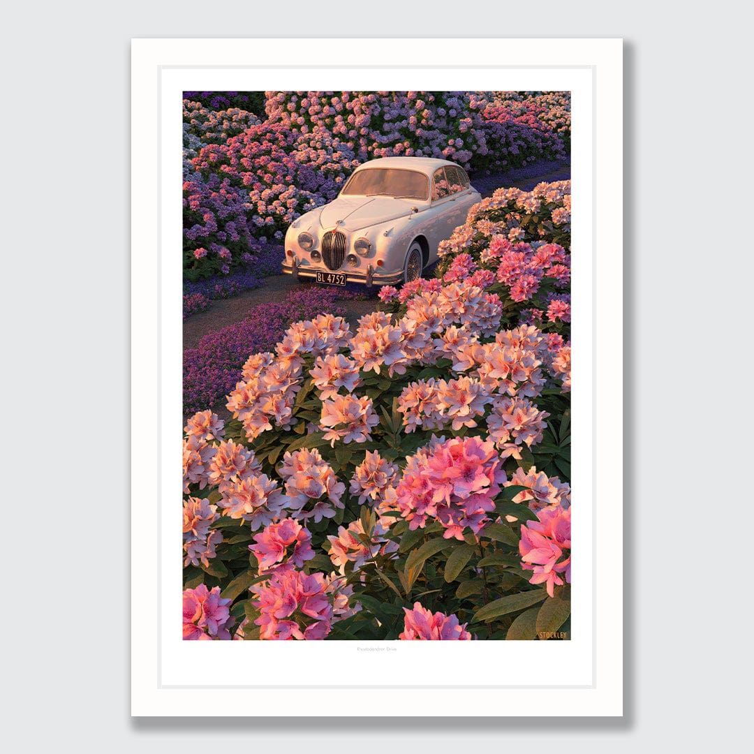 Rhododendron Drive Art Print by Simon Stockley