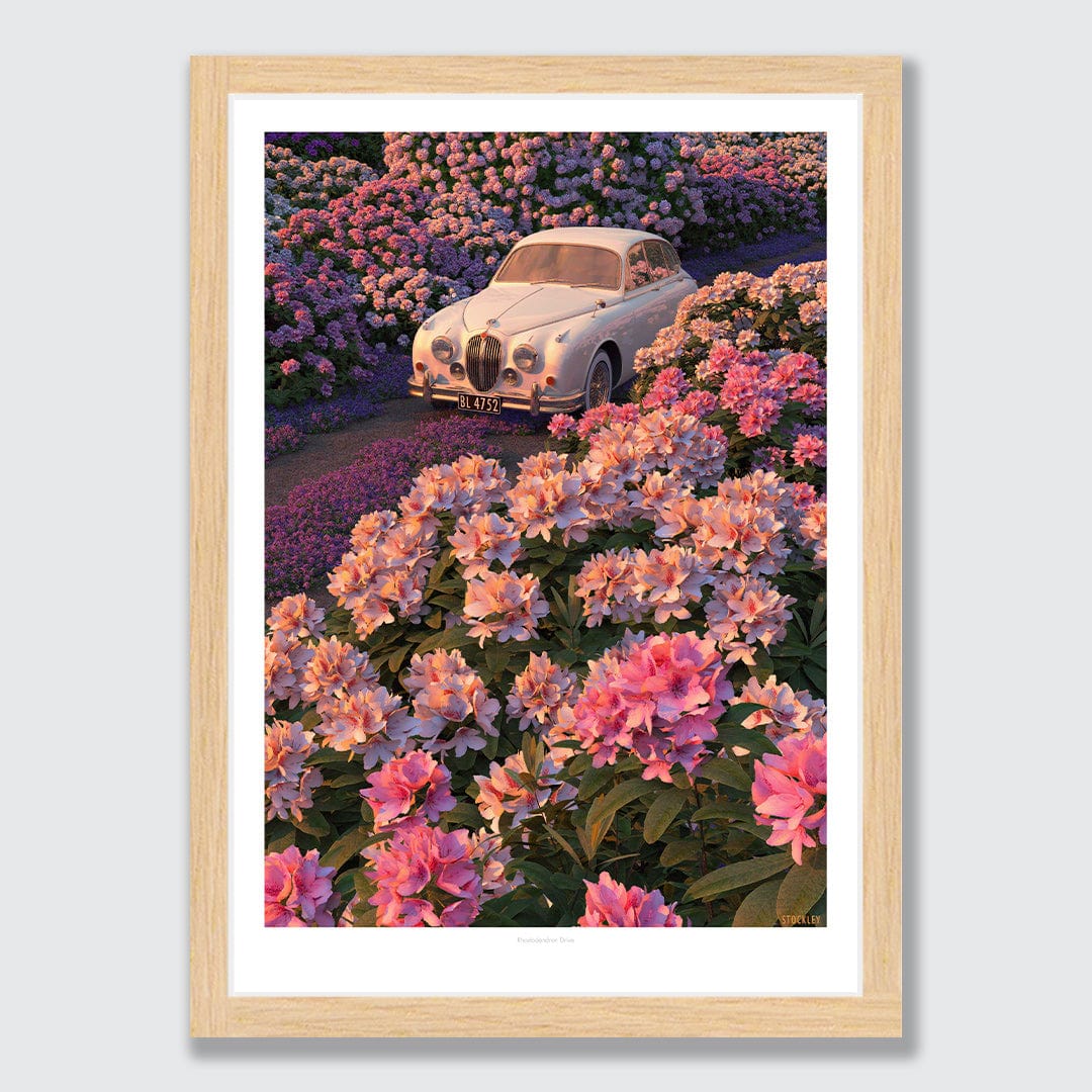 Rhododendron Drive Art Print by Simon Stockley