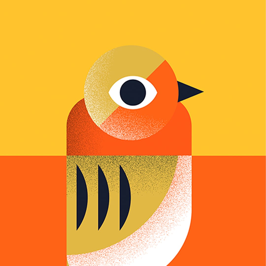 Robin Art Print by Beth Xia