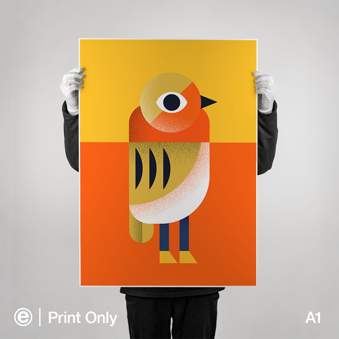 Robin Art Print by Beth Xia