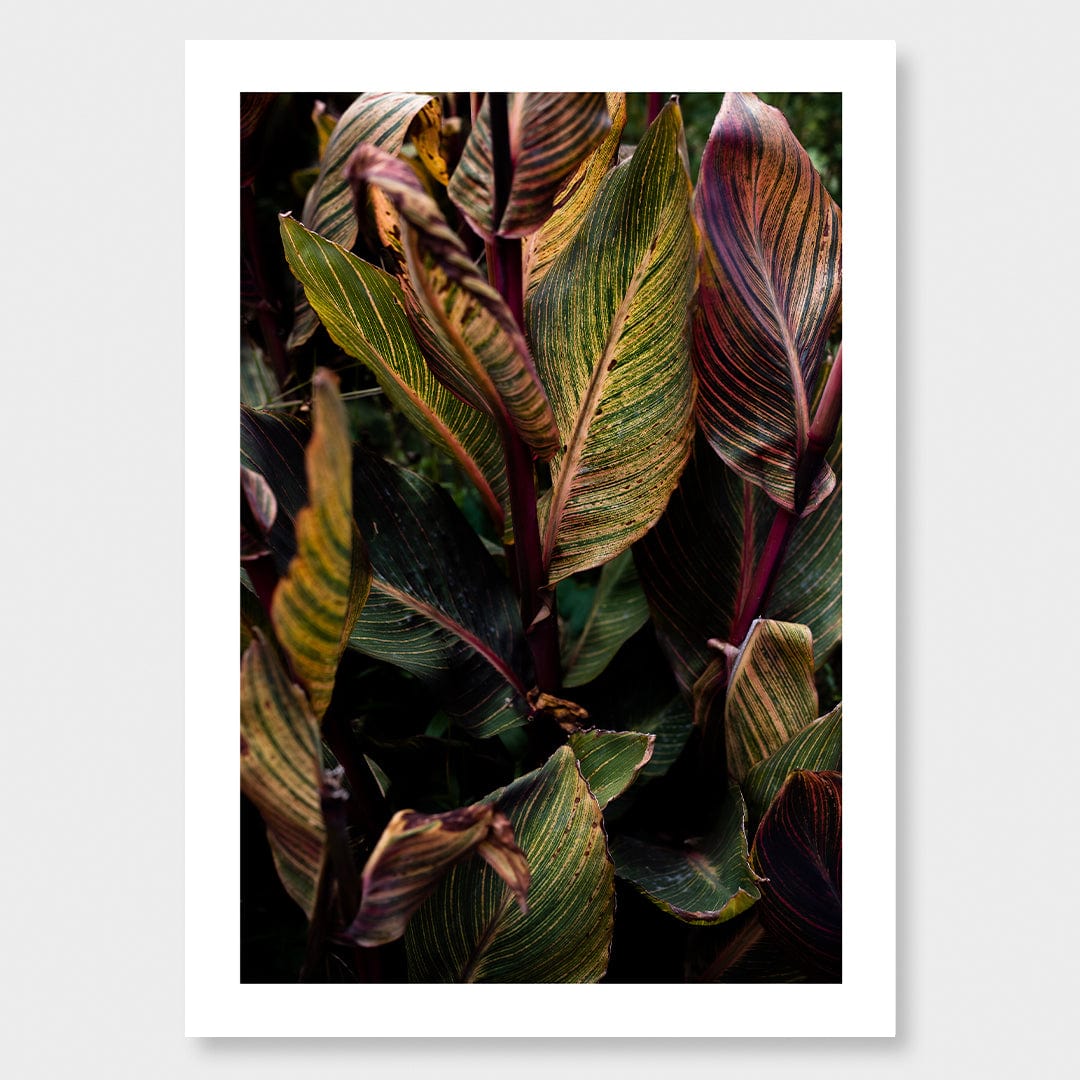 Roman Photographic Art Print by Charlotte Clements