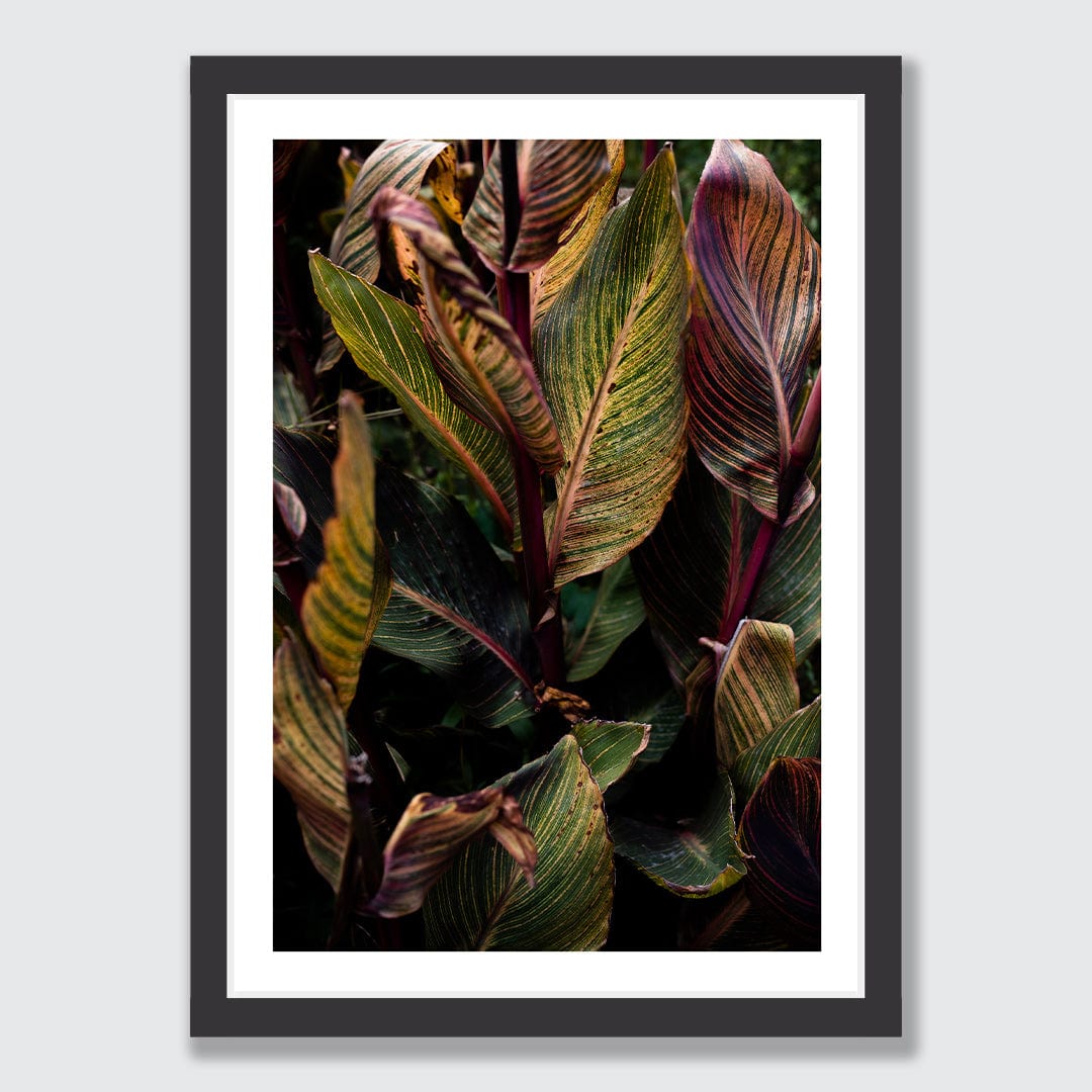 Roman Photographic Art Print by Charlotte Clements