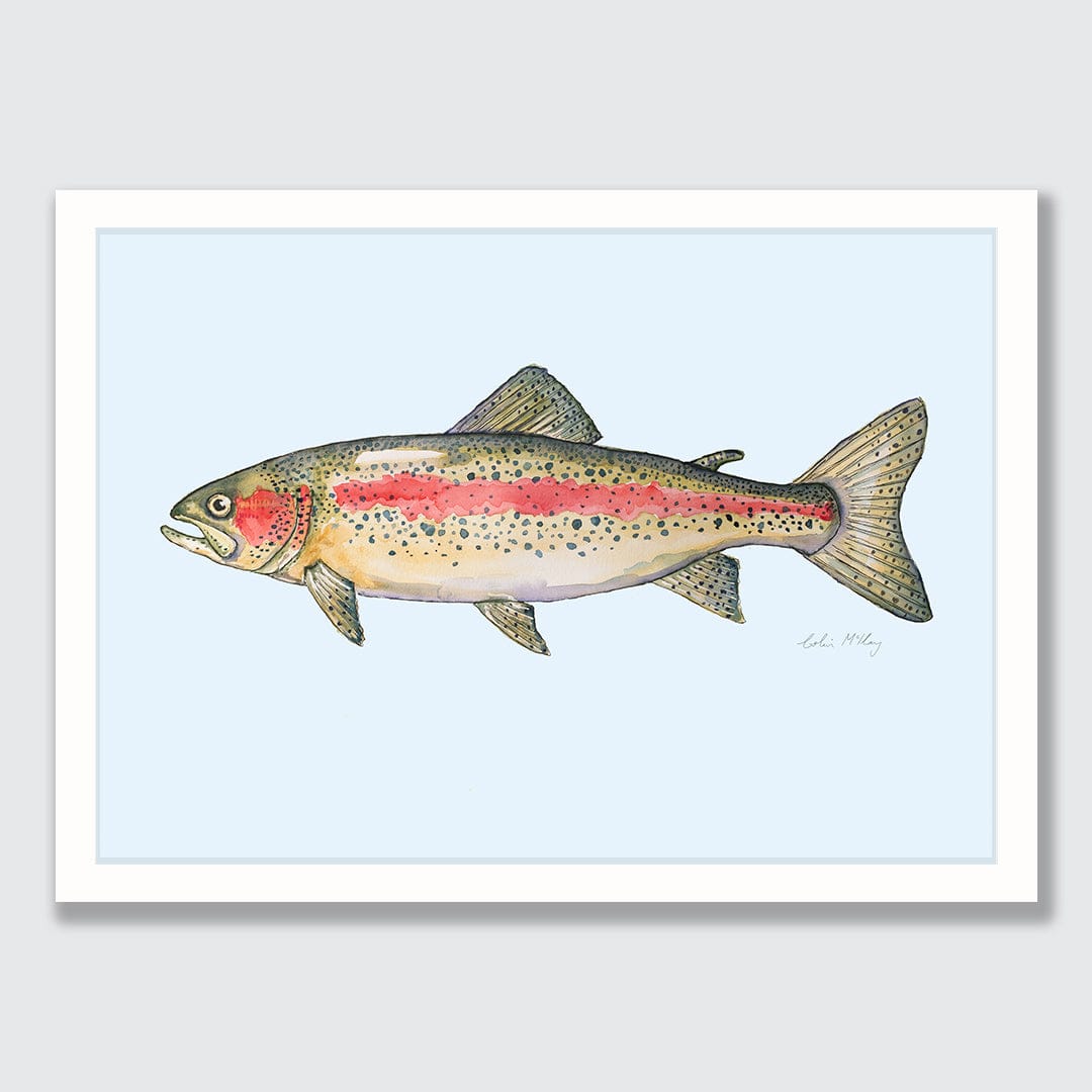 'Ron' Rainbow Trout (Blue background) Art Print by Colin McKay