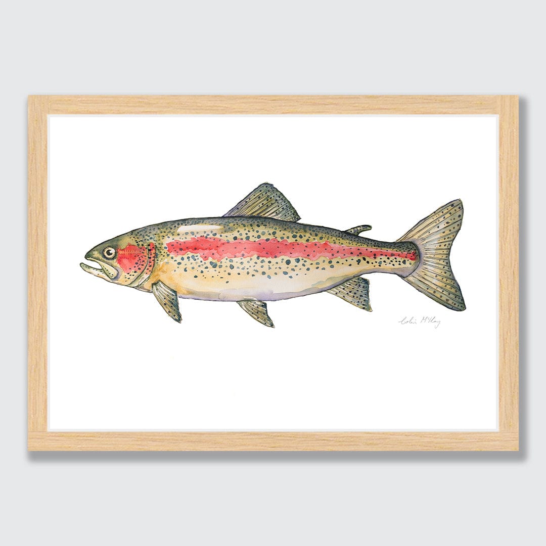 'Ron' Rainbow Trout Art Print by Colin McKay