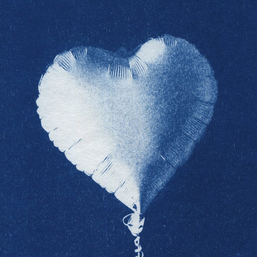 Simple Pleasures 04 Limited Edition Cyanotype by Sophia Jenny