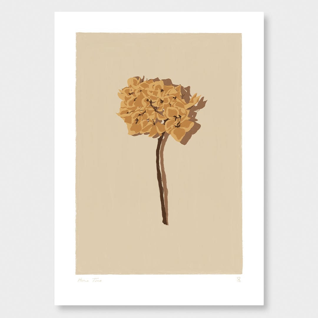 Single Dried Hydrangea Art Print by Home Time