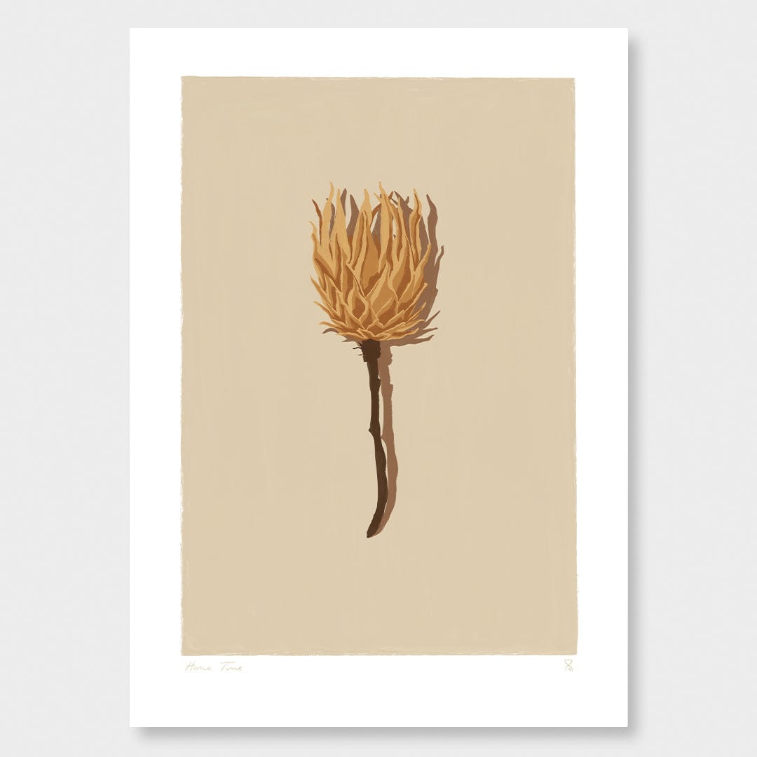 Single Dried Protea Art Print by Home Time