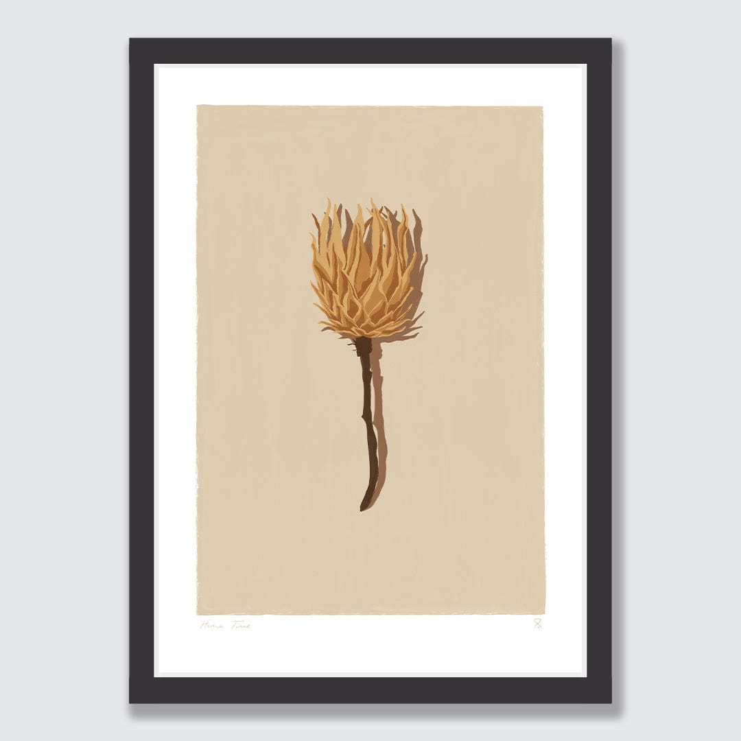 Single Dried Protea Art Print by Home Time
