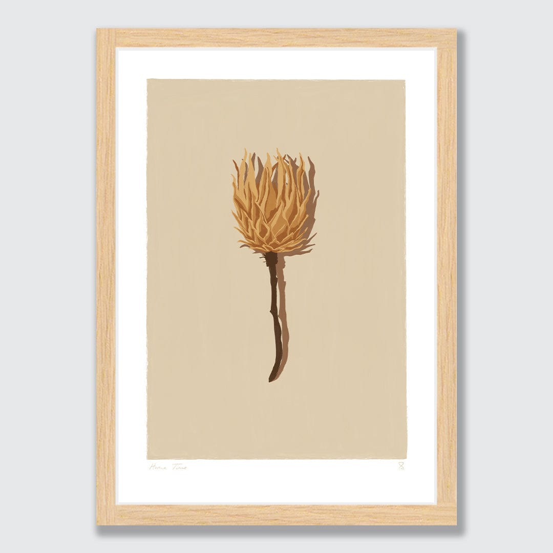 Single Dried Protea Art Print by Home Time