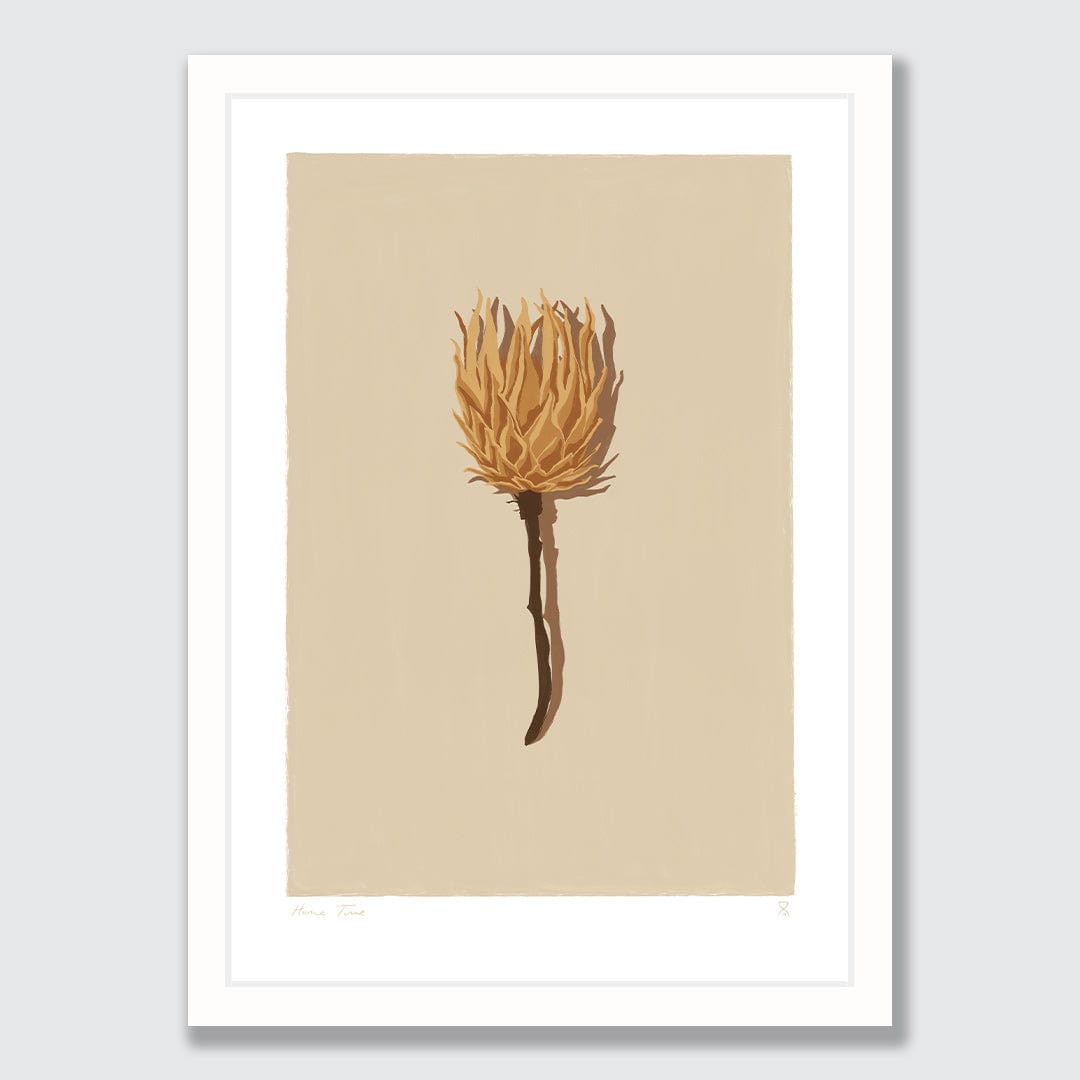 Single Dried Protea Art Print by Home Time