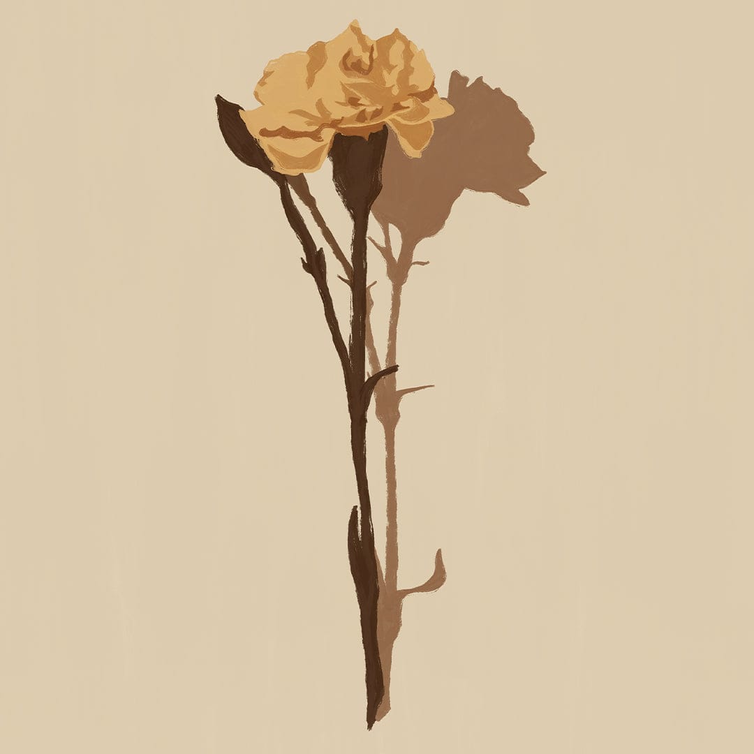 Single Dried Rose Art Print by Home Time