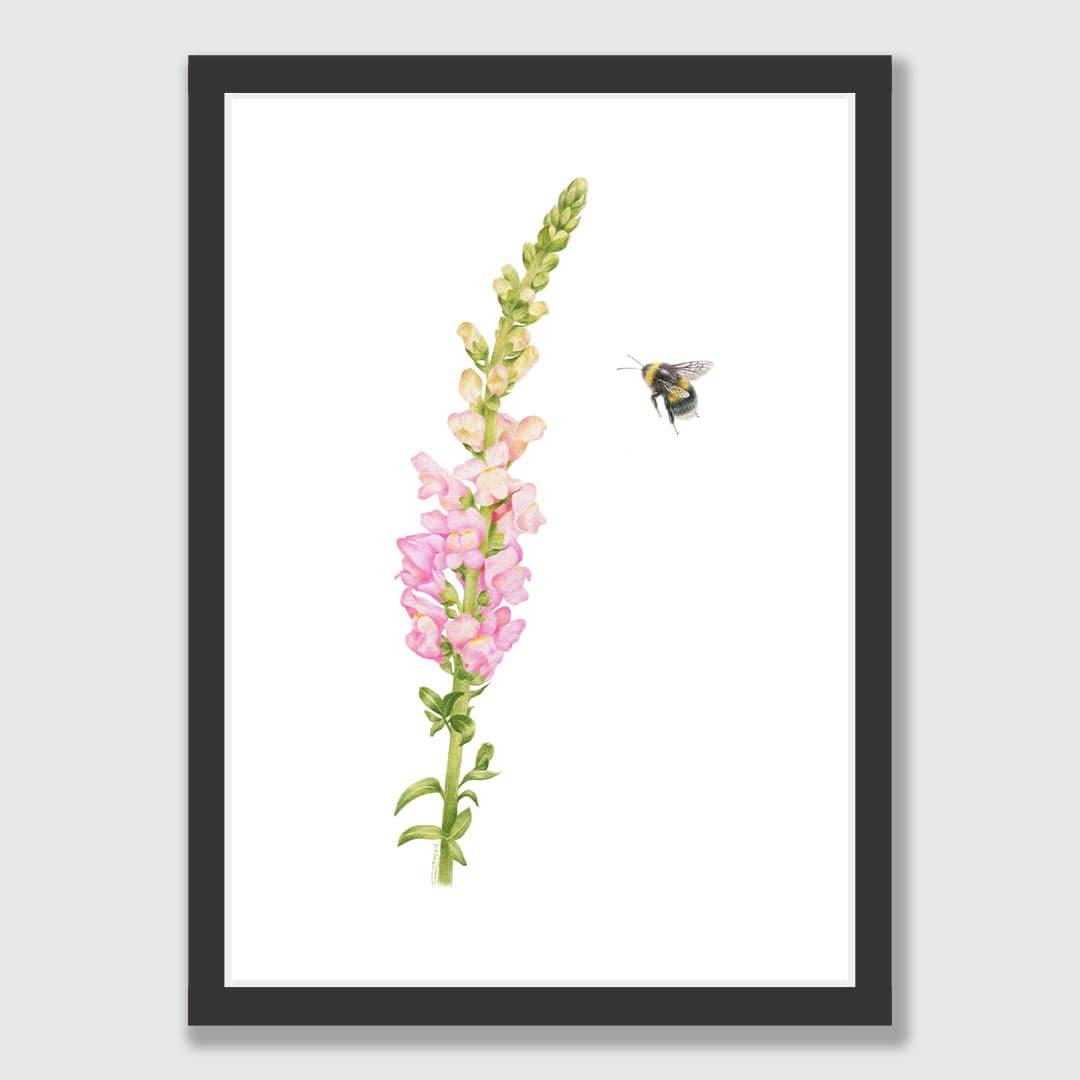 Snapdragon and Bee Art Print by Olivia Bezett