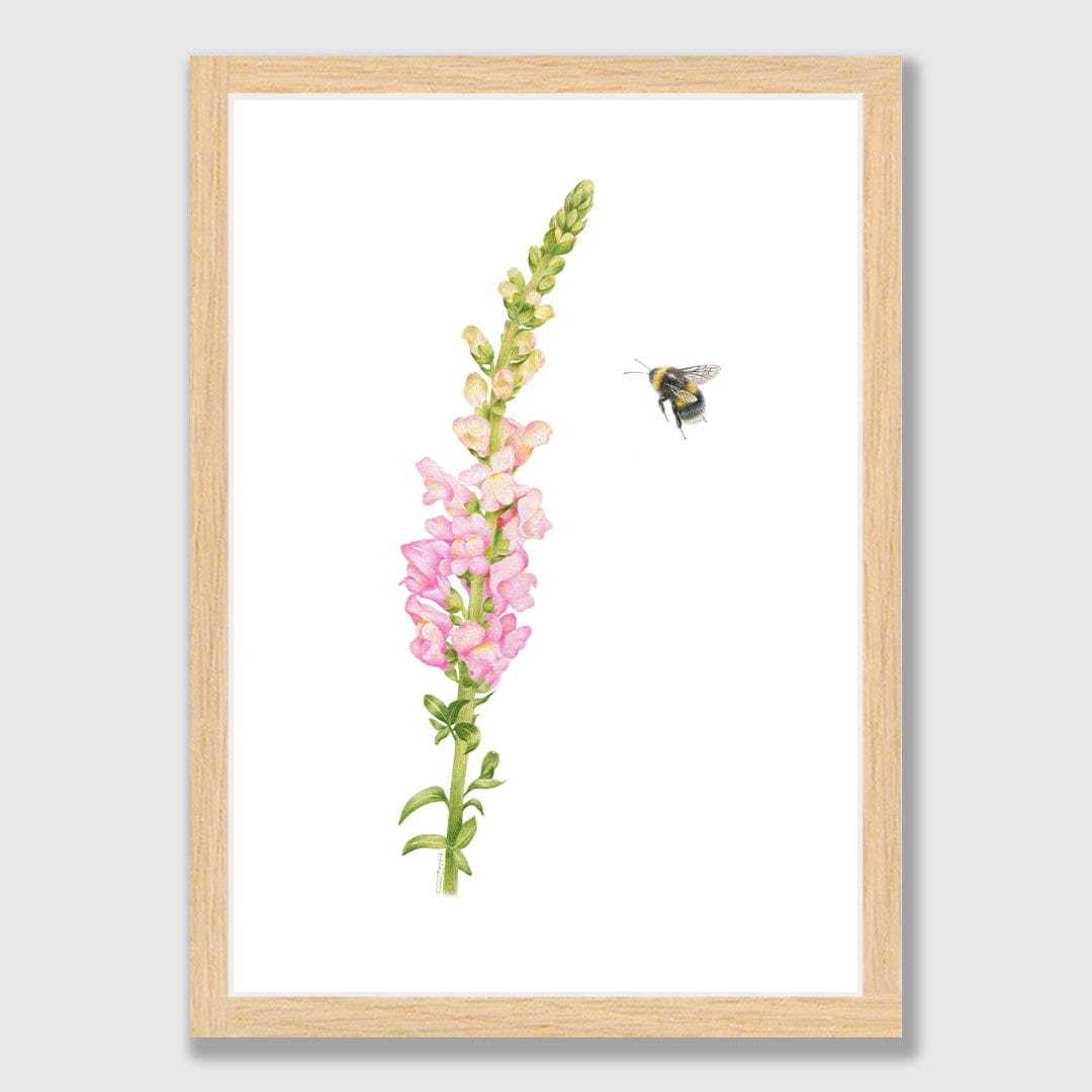 Snapdragon and Bee Art Print by Olivia Bezett