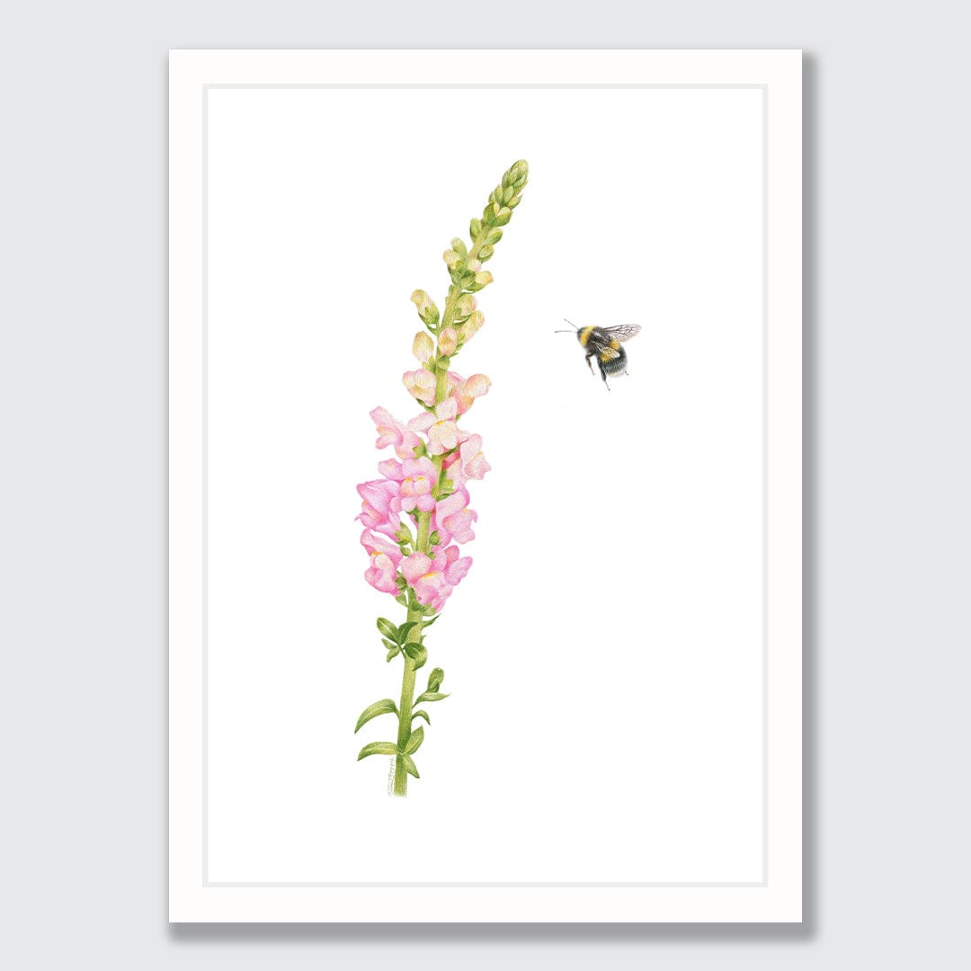 Snapdragon and Bee Art Print by Olivia Bezett