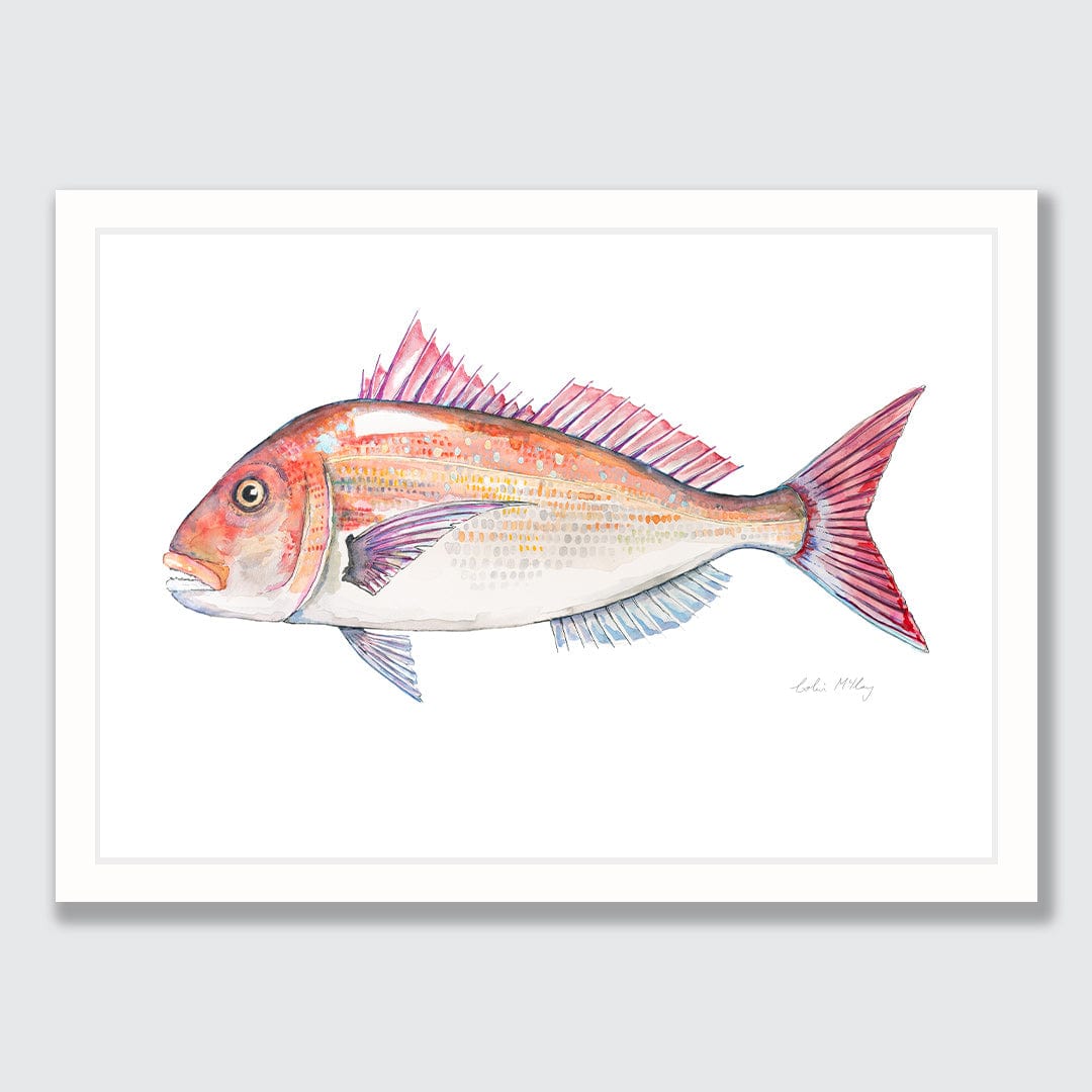 'Snip' Snapper Art Print by Colin McKay