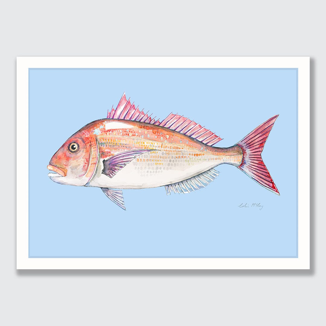 'Snip' Snapper (Blue background) Art Print by Colin McKay