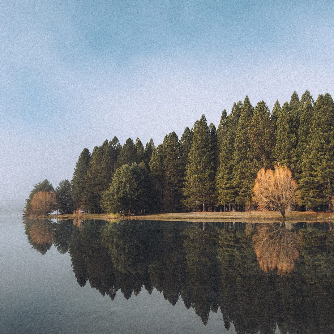 Still Waters Silent Trees Twizel Art Print by Jessica Higueras