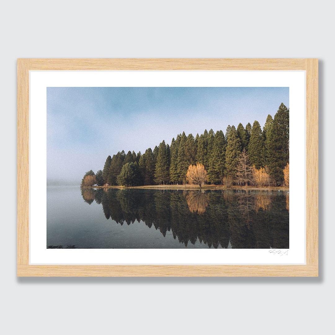Still Waters Silent Trees Twizel Art Print by Jessica Higueras