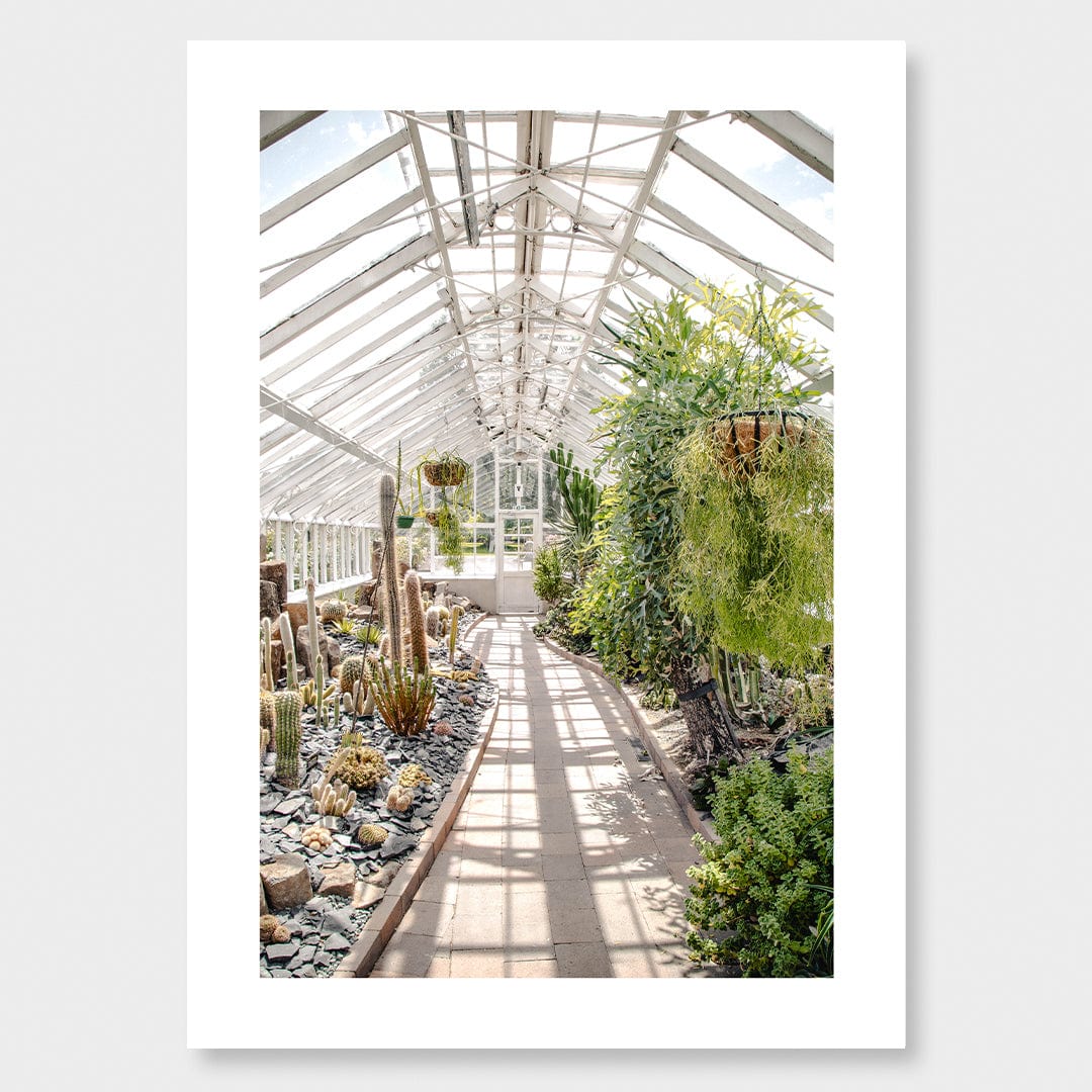  Succulent House Photographic Print by Amy Wybrow