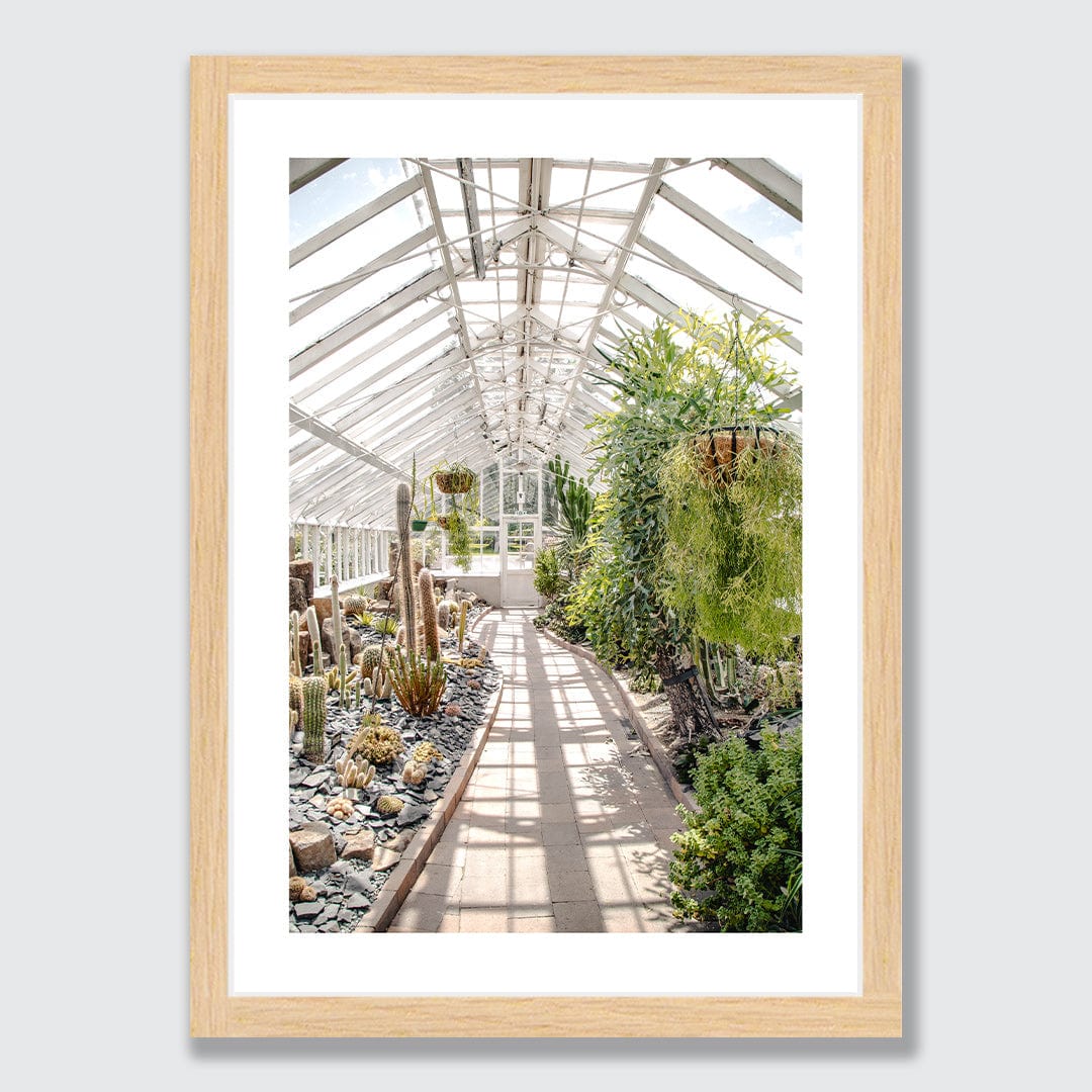 Succulent House Photographic Print by Amy Wybrow