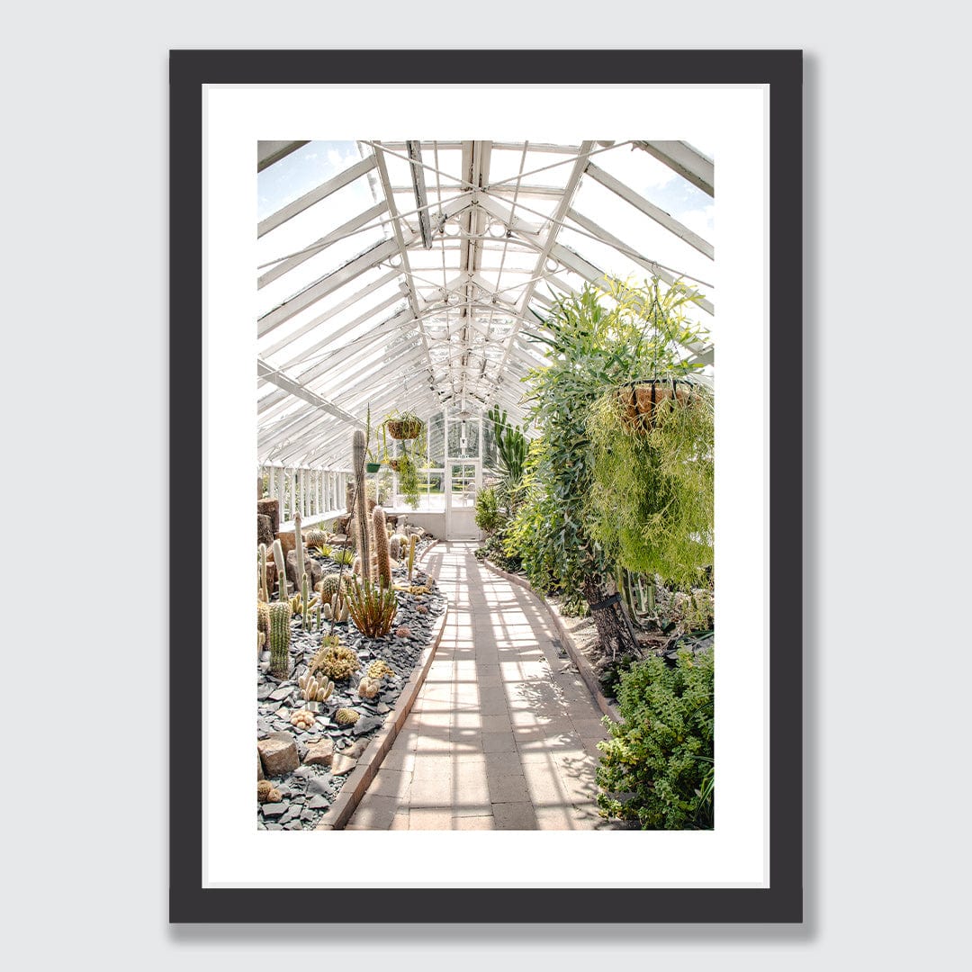 Succulent House Photographic Print by Amy Wybrow