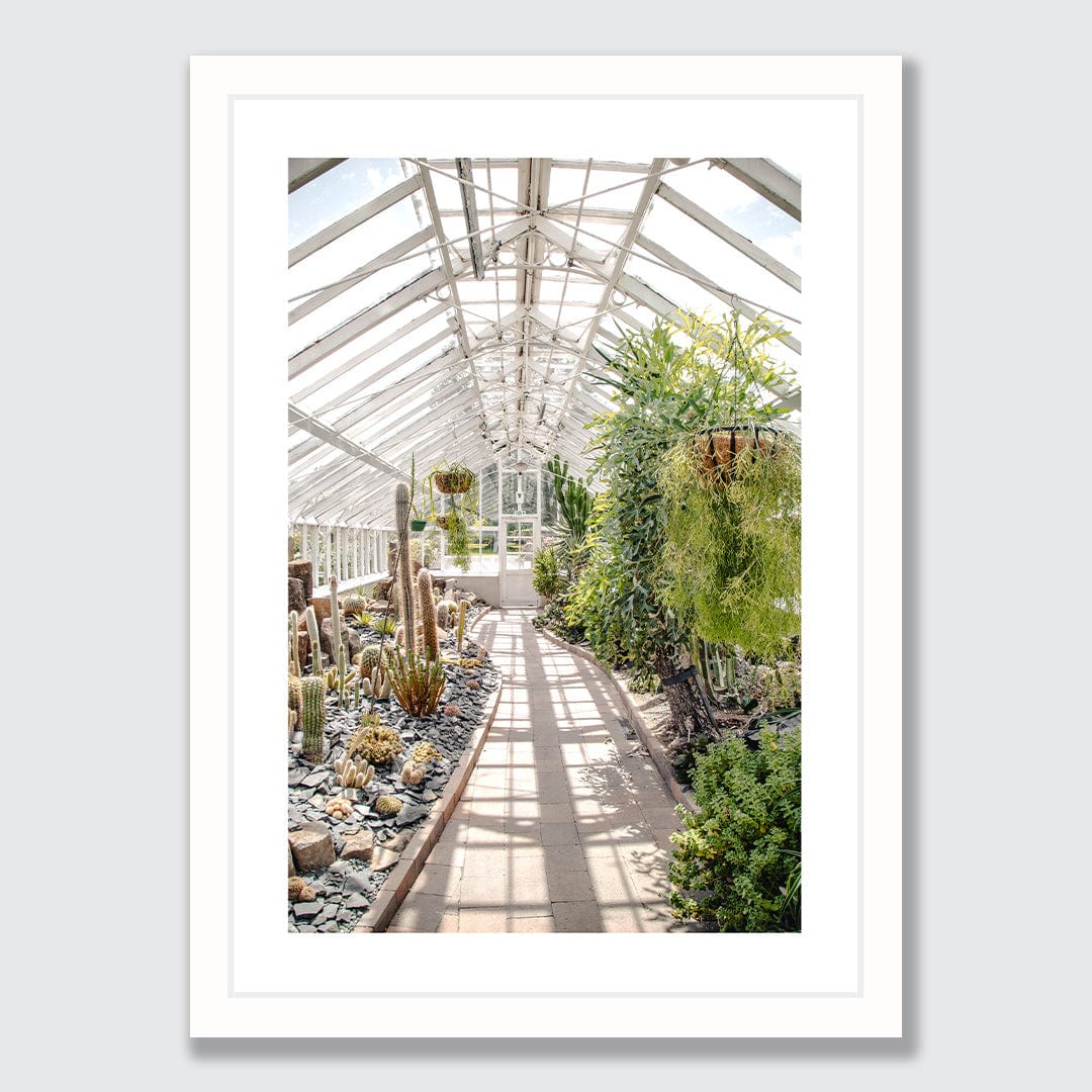 Succulent House Photographic Print by Amy Wybrow