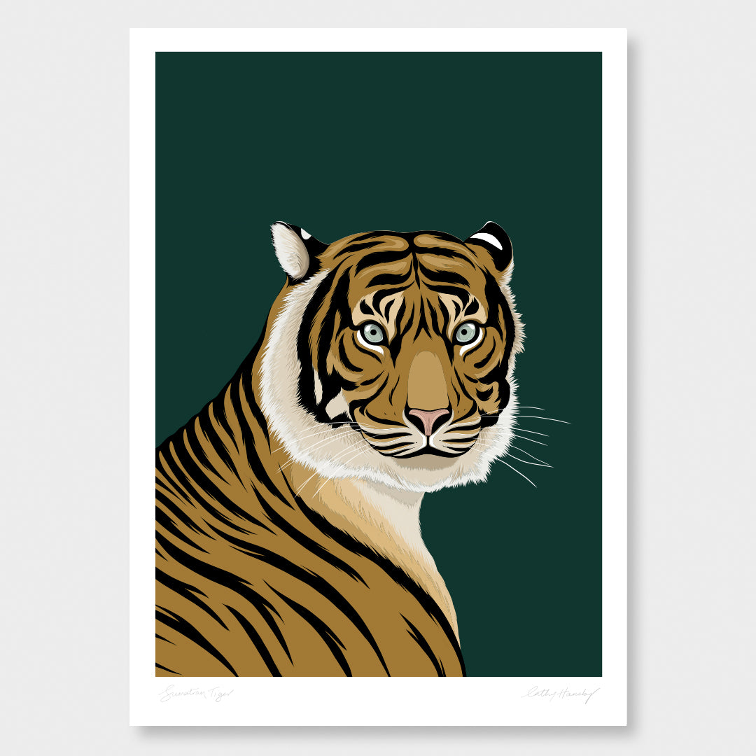 Sumatran Tiger Art Print by Cathy Hansby