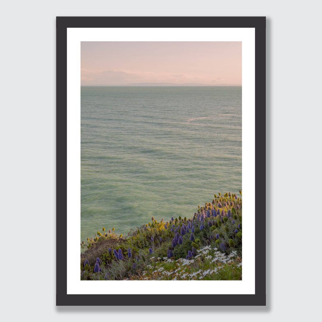 Sumner Daisy Photographic Art Print by Charlotte Clements