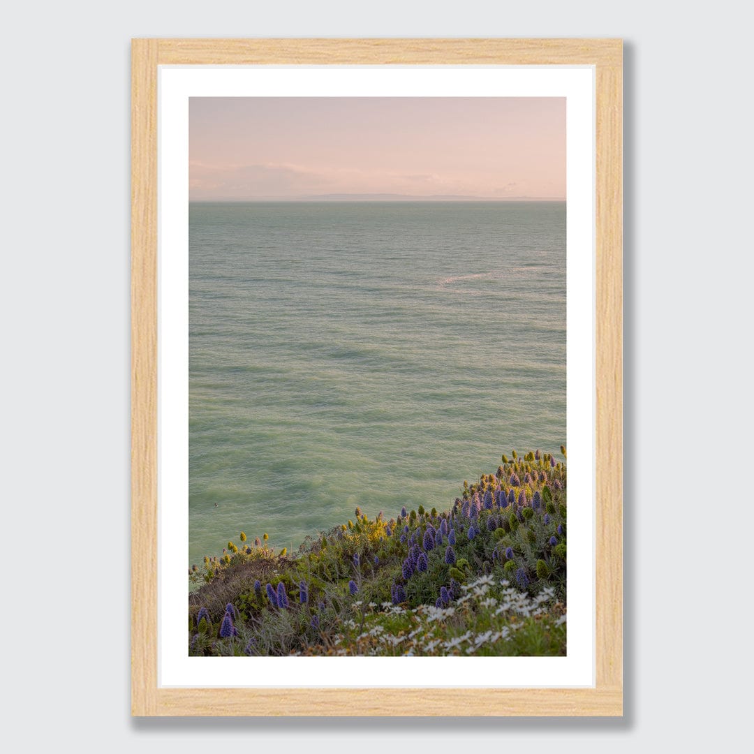 Sumner Daisy Photographic Art Print by Charlotte Clements