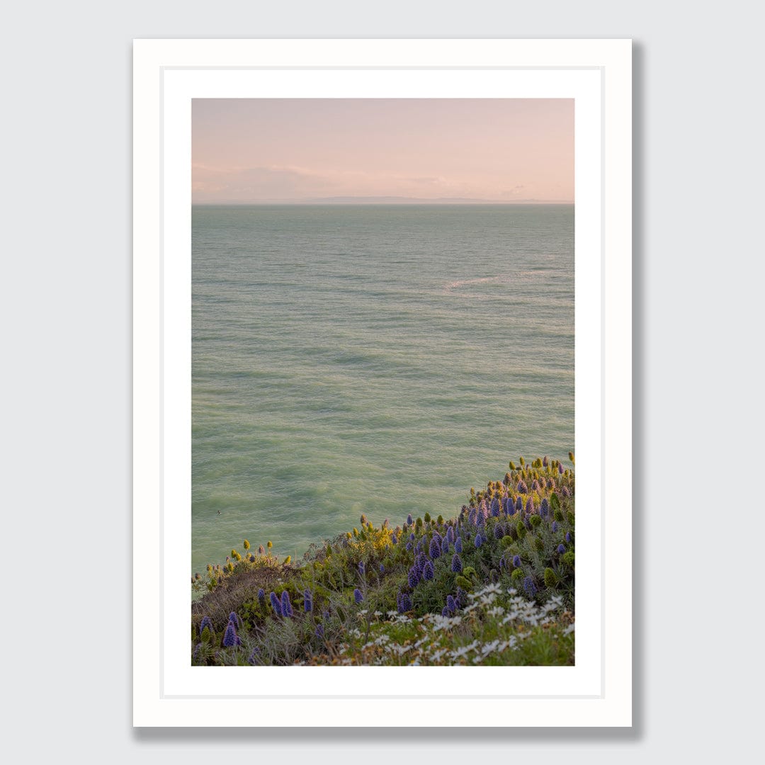 Sumner Daisy Photographic Art Print by Charlotte Clements