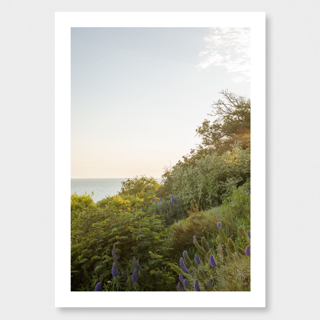 Sumner Spring Photographic Art Print by Charlotte Clements