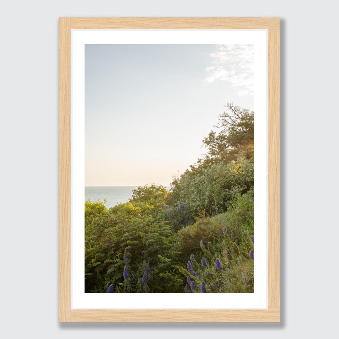 Sumner Spring Photographic Art Print by Charlotte Clements