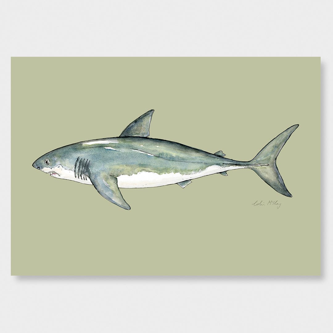 'Susie' Great White Shark (Olive background) Art Print by Colin McKay