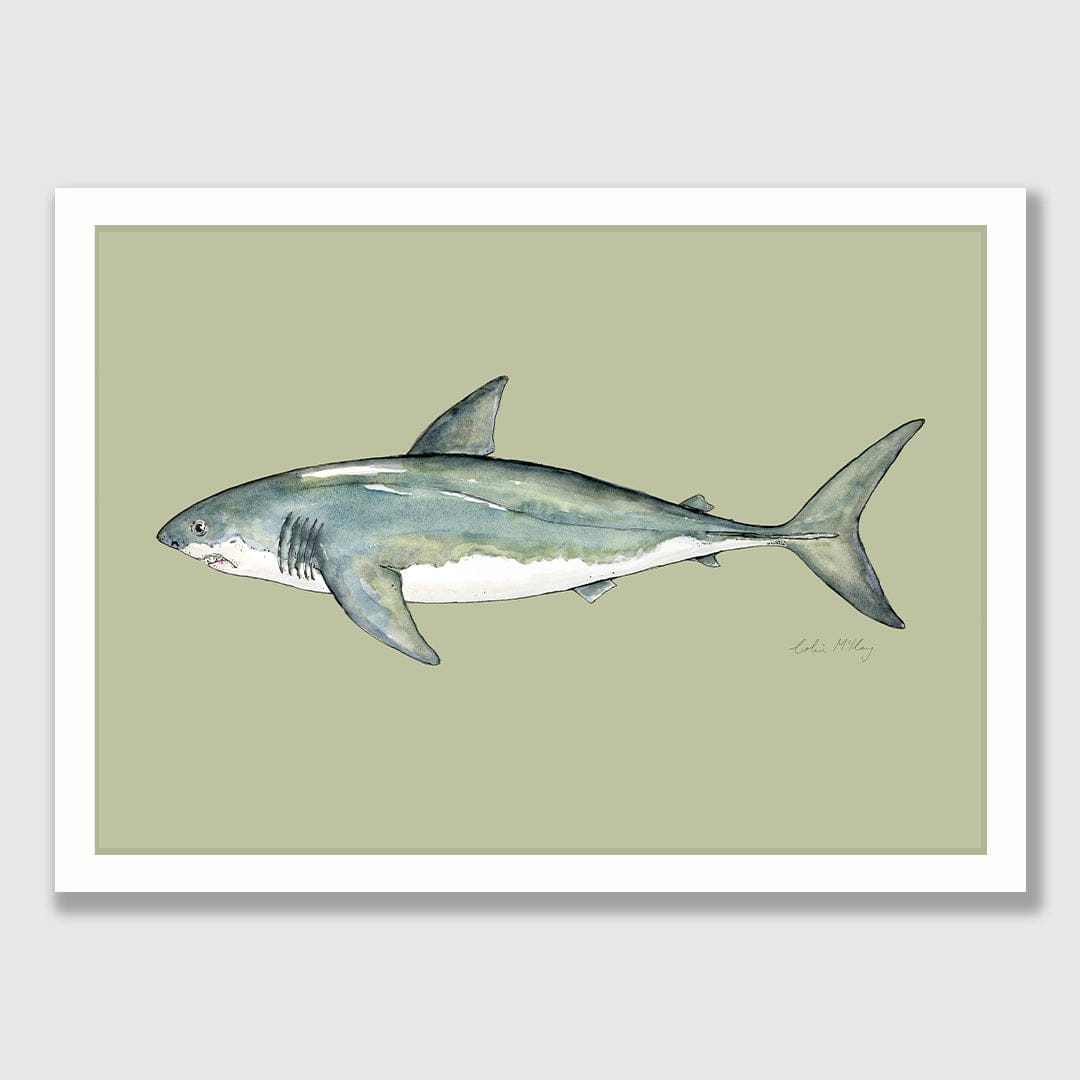 'Susie' Great White Shark (Olive background) Art Print by Colin McKay